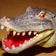 croctoy